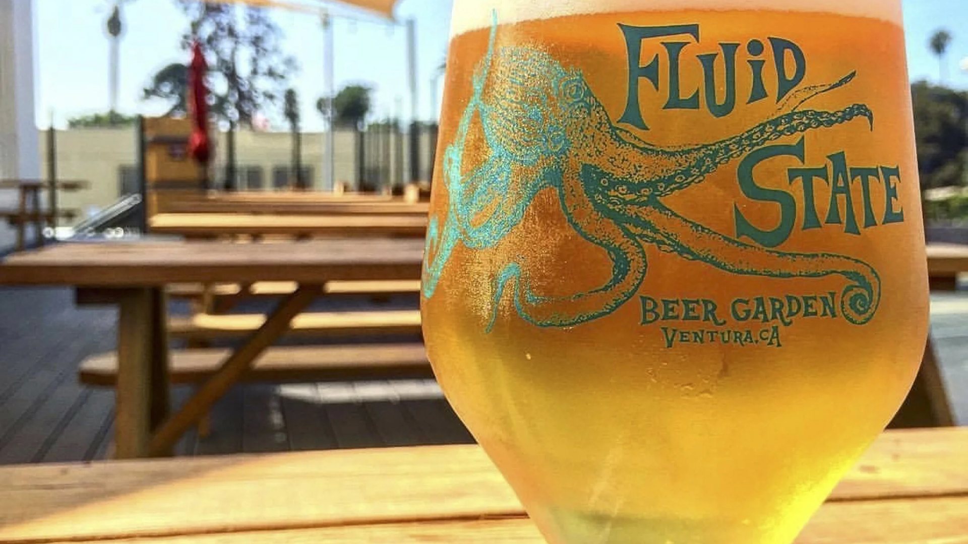 A pint glass with the Fluid State octopus logo on the sunny patio of the Ventura beer garden